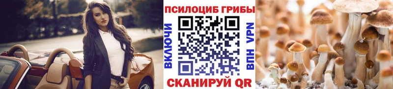 Галлюциногенные грибы Magic Shrooms  Высоковск 